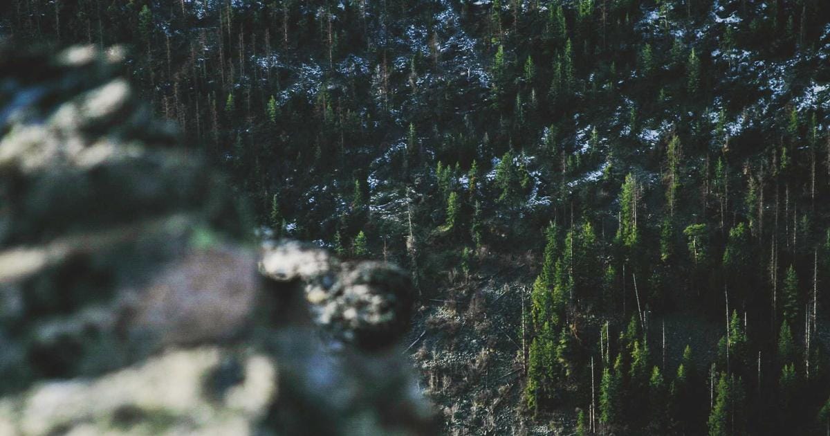 10 Milliarden Dollar für KI: Was das Investment-Flop-Risiko verrät