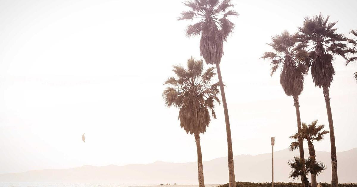 März-Update sperrt Nutzer aus: Was jetzt bei Microsoft 365 passiert