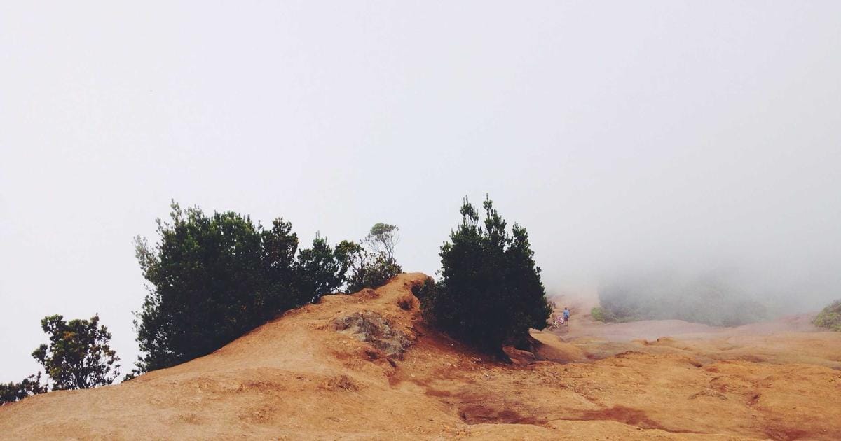 24.000 Dollar für einen KI-Mitarbeiter, der nie schläft