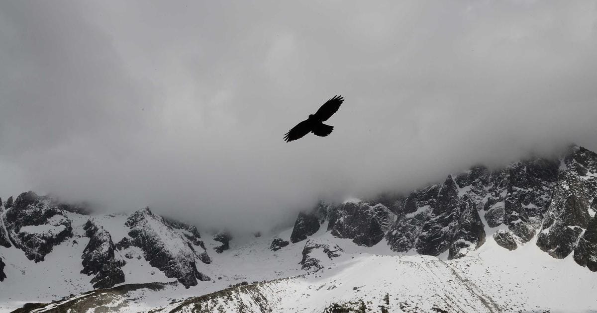 GPT-5.3 Instant in Copilot: Was wirklich schneller wird