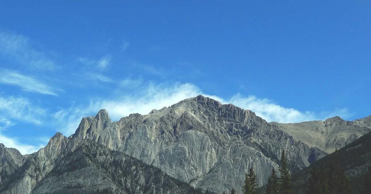 AI Agents: Jetzt kommen die 24.000-Dollar-Kollegen