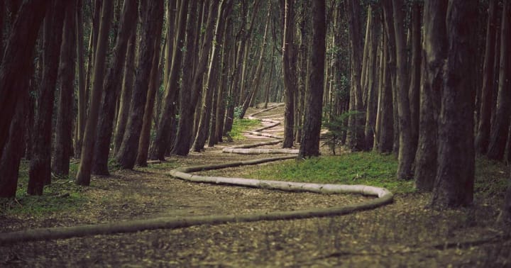 10 Milliarden für xAI – und warum dein KI-Tool bald günstiger wird