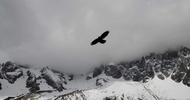 GPT-5.3 Instant in Copilot: Was wirklich schneller wird